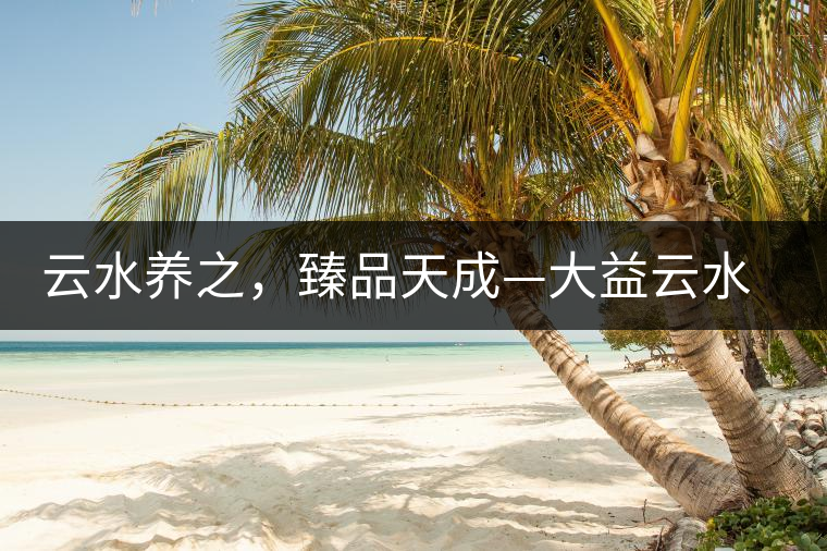 云水養(yǎng)之，臻品天成—大益云水臻開(kāi)湯