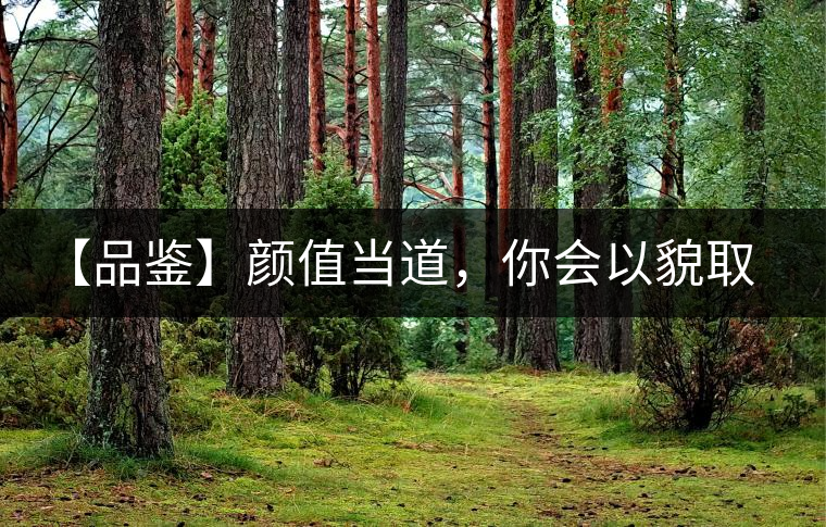 【品鑒】顏值當(dāng)?shù)溃銜?huì)以貌取茶嗎？