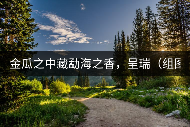 金瓜之中藏勐海之香，呈瑞（組圖）