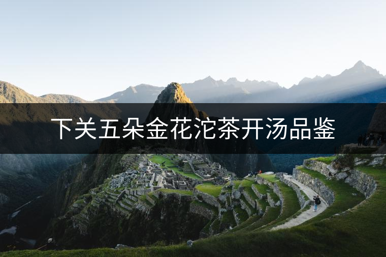 下關(guān)五朵金花沱茶開湯品鑒 下關(guān)五朵金花沱茶開湯品鑒