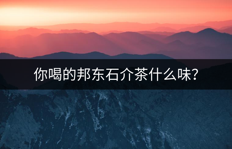 你喝的邦東石介茶什么味？