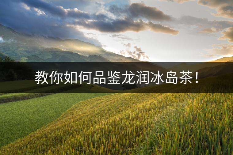 教你如何品鑒龍潤(rùn)冰島茶！
