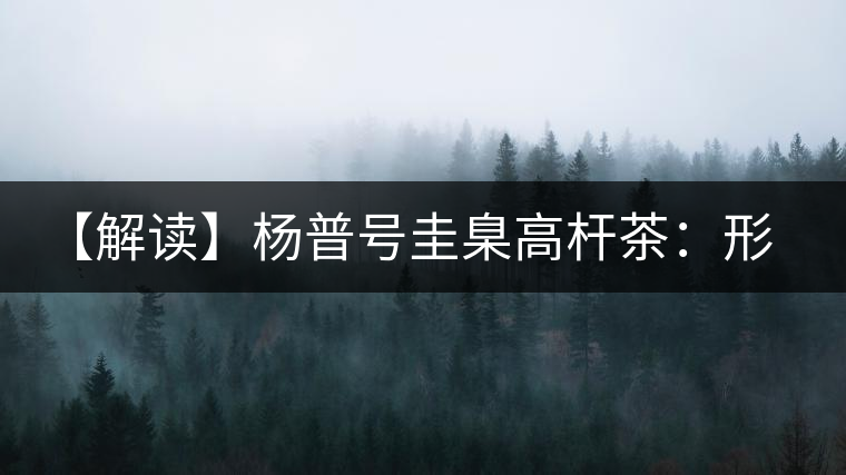 【解讀】楊普號(hào)圭臬高桿茶：形高、氣足、韻遠(yuǎn)的一款茶