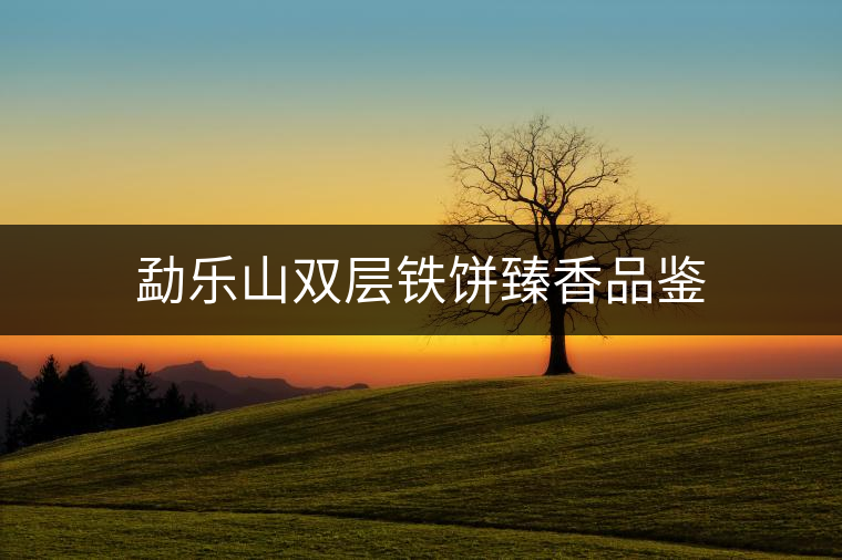 勐樂(lè)山雙層鐵餅臻香品鑒 勐樂(lè)山雙層鐵餅臻香品鑒
