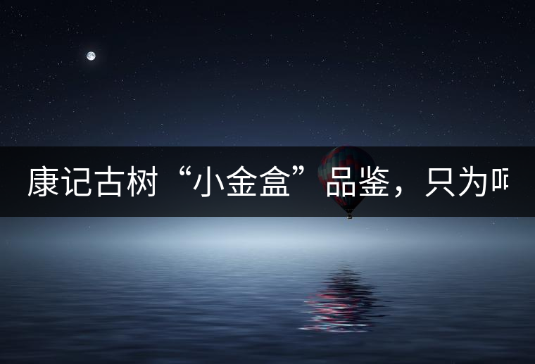 康記古樹“小金盒”品鑒，只為呵護(hù)您的味蕾！