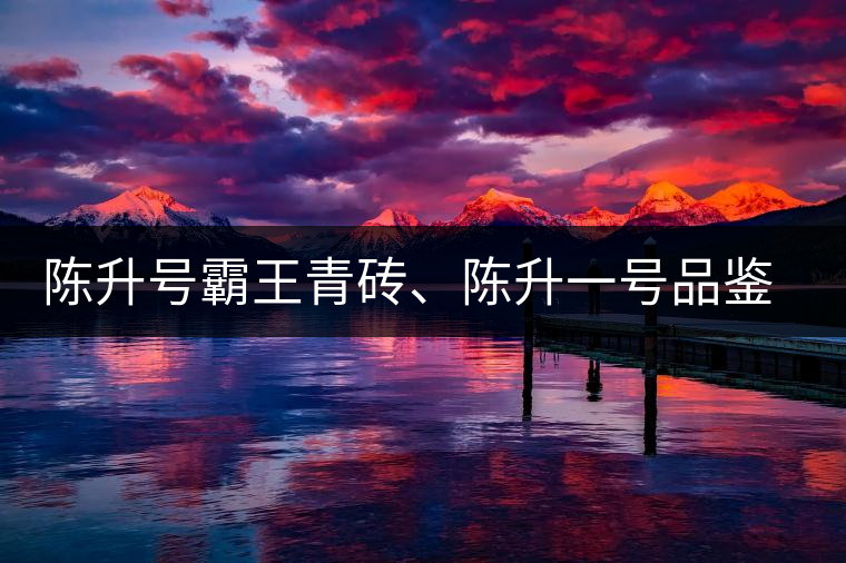 陳升號霸王青磚、陳升一號品鑒【圖】