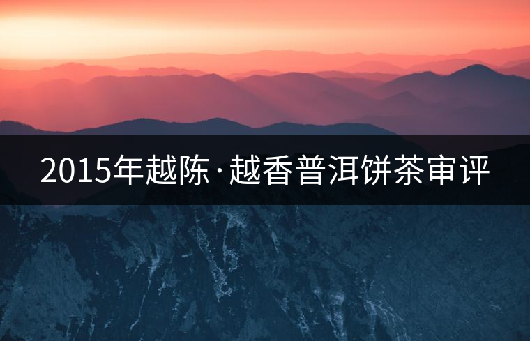2015年越陳·越香普洱餅茶審評(píng)
