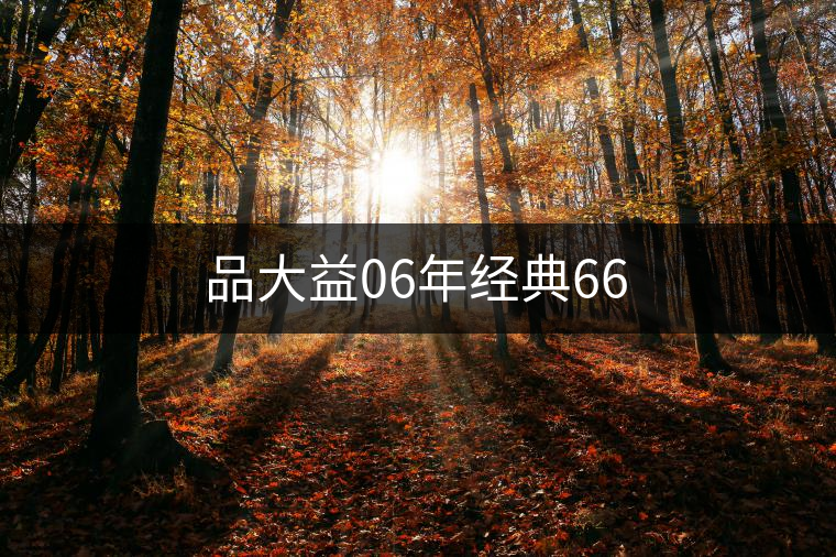 品大益06年經(jīng)典66