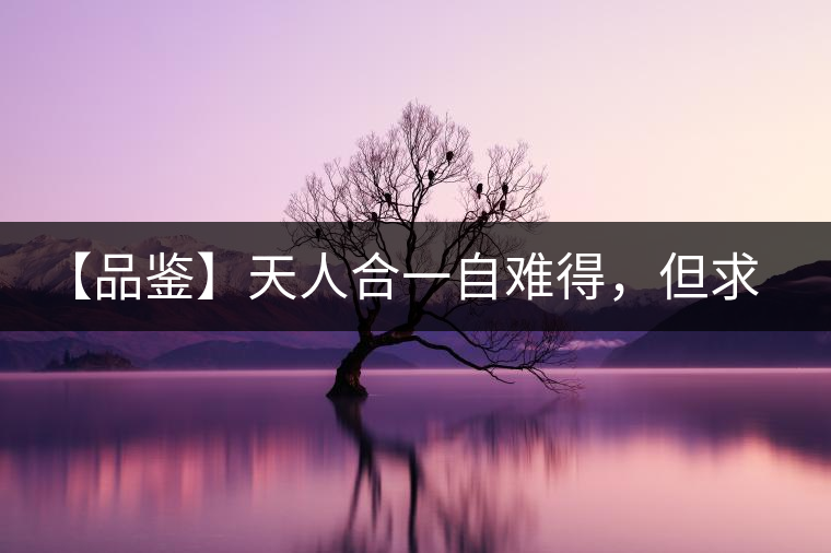 【品鑒】天人合一自難得，但求得茶之本味