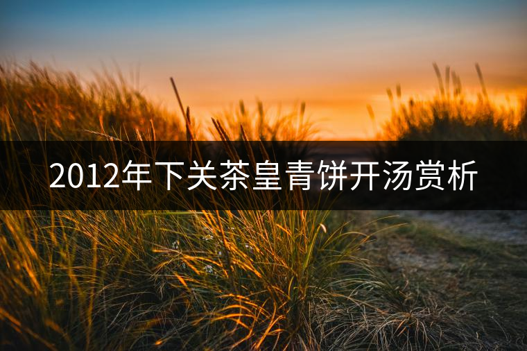 2012年下關(guān)茶皇青餅開(kāi)湯賞析 2012年下關(guān)茶皇青餅開(kāi)湯賞析