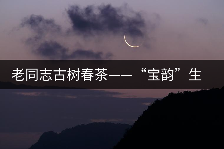 老同志古樹春茶——“寶韻”生茶開湯鑒賞