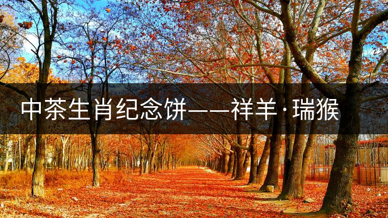 中茶生肖紀(jì)念餅——祥羊·瑞猴（生茶）對(duì)比開(kāi)湯