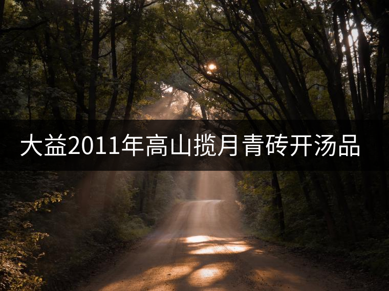 大益2011年高山攬?jiān)虑啻u開湯品鑒