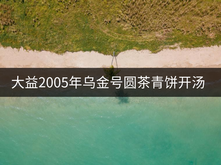 大益2005年烏金號(hào)圓茶青餅開(kāi)湯品鑒