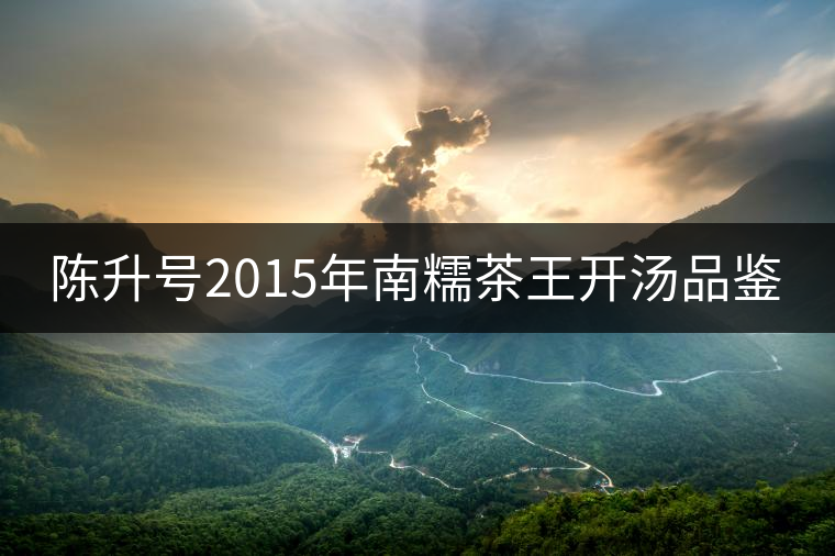 陳升號(hào)2015年南糯茶王開湯品鑒 陳升號(hào)2015年南糯茶王開湯品鑒