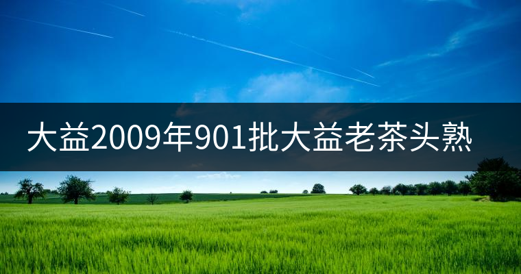 大益2009年901批大益老茶頭熟磚 大益2009年901批大益老茶頭熟磚