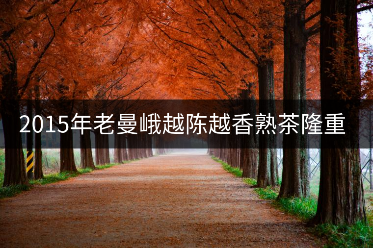 2015年老曼峨越陳越香熟茶隆重上市！