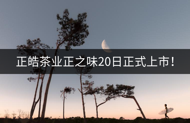 正皓茶業(yè)正之味20日正式上市！