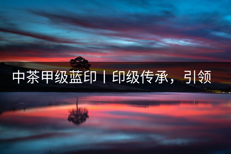 中茶甲級藍印丨印級傳承,引領(lǐng)風韻 中茶甲級藍印丨印級傳承,引領(lǐng)風韻