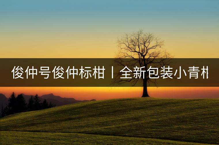 俊仲號俊仲標(biāo)柑丨全新包裝小青柑震撼上市！