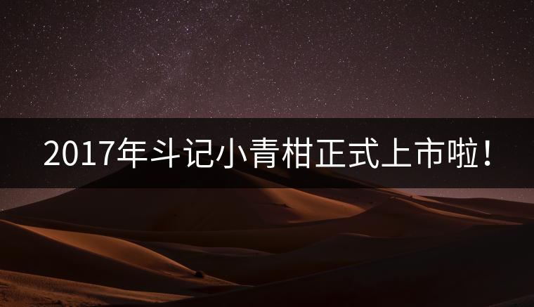 2017年斗記小青柑正式上市啦！