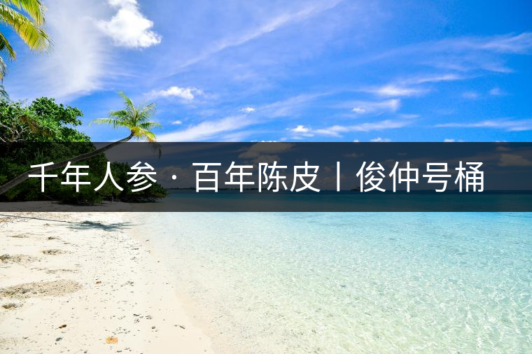 千年人參 · 百年陳皮丨俊仲號(hào)桶裝柑普茶豈止于大！