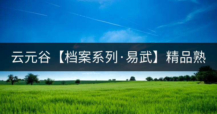 云元谷【檔案系列·易武】精品熟茶，精裝上市！