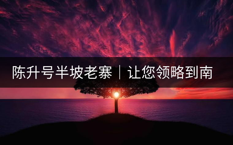 陳升號半坡老寨｜讓您領(lǐng)略到南糯山大樹茶口感的地道！