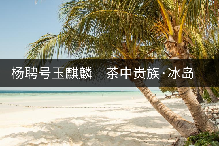 楊聘號(hào)玉麒麟｜茶中貴族·冰島古樹(shù)