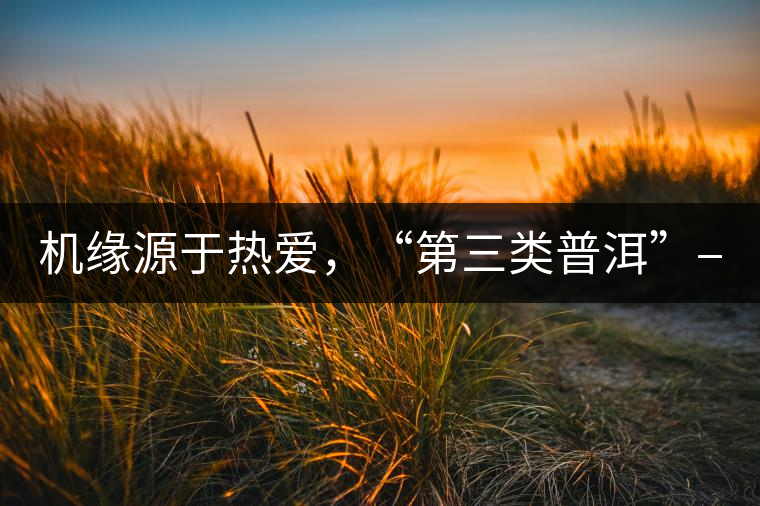 機(jī)緣源于熱愛(ài)，“第三類(lèi)普洱”——“散壓茶TM”的誕生。
