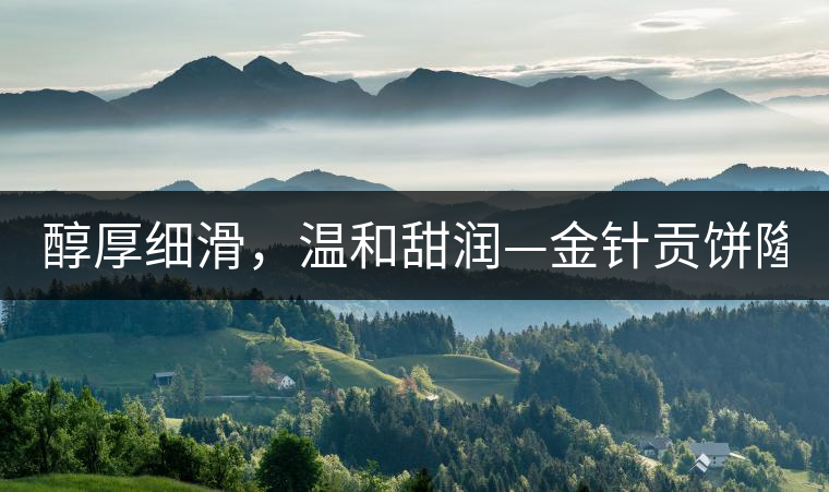 醇厚細(xì)滑，溫和甜潤—金針貢餅隆重上市！