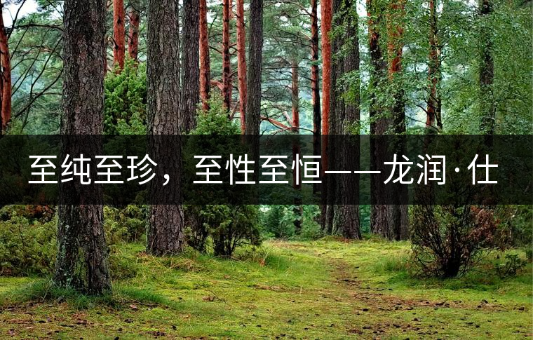 至純至珍，至性至恒——龍潤(rùn)·仕通茶新上市！