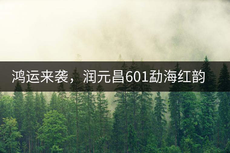 鴻運來襲，潤元昌601勐海紅韻熟茶即將上市