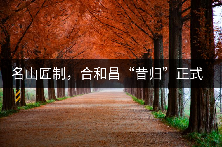 名山匠制，合和昌“昔歸”正式上市