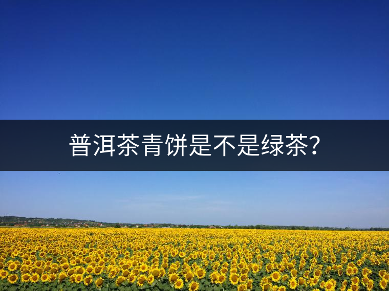 普洱茶青餅是不是綠茶？
