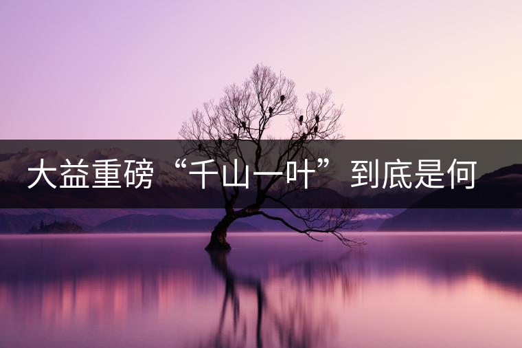 大益重磅“千山一葉”到底是何方神圣？