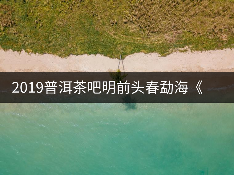 2019普洱茶吧明前頭春勐?！对鹿獍住钒撞鑳?yōu)惠訂購