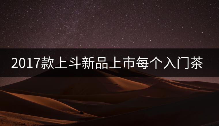 2017款上斗新品上市每個(gè)入門茶人都欠自己一餅上斗！
