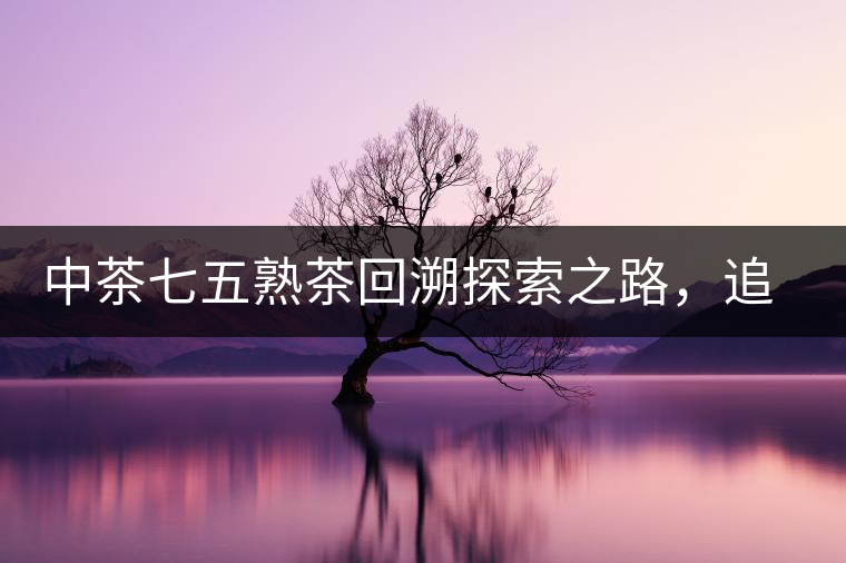 中茶七五熟茶回溯探索之路，追尋歷史印跡