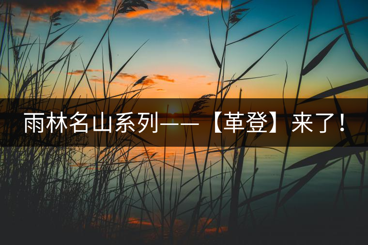 雨林名山系列——【革登】來了！