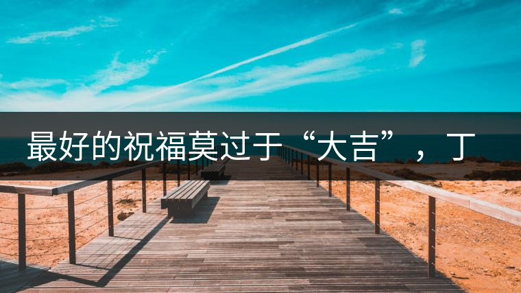 最好的祝福莫過于“大吉”，丁酉年生肖餅震撼來襲！