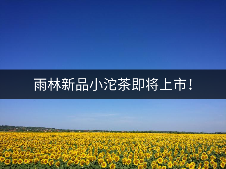 雨林新品小沱茶即將上市！