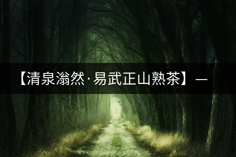 【清泉滃然·易武正山熟茶】——熨帖冬季的寒冷，來(lái)的正是時(shí)候！
