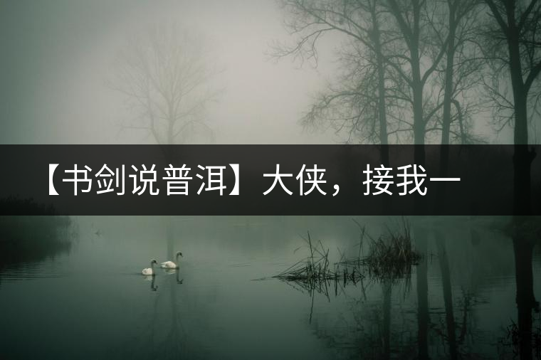 【書劍說普洱】大俠，接我一棒