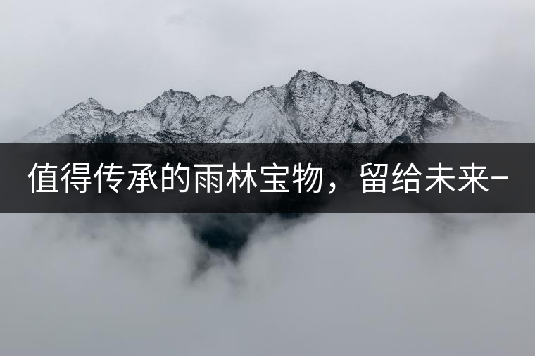 值得傳承的雨林寶物，留給未來一點(diǎn)“回甘”！