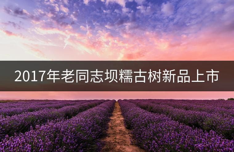 2017年老同志壩糯古樹(shù)新品上市