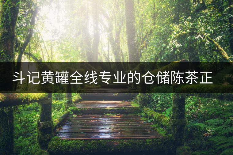 斗記黃罐全線專(zhuān)業(yè)的倉(cāng)儲(chǔ)陳茶正式上市