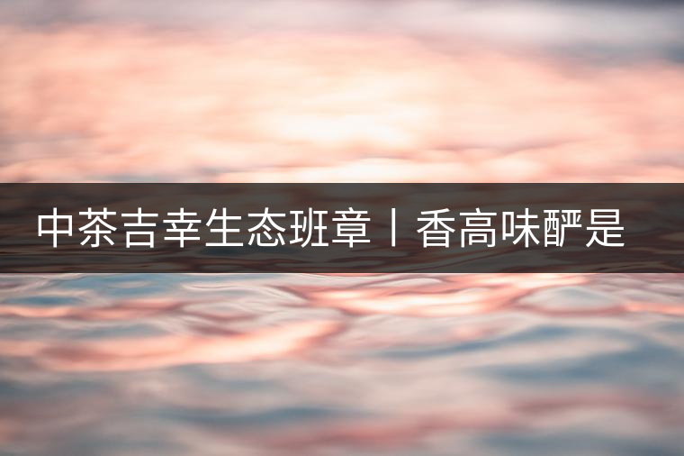 中茶吉幸生態(tài)班章丨香高味釅是王者，且品且珍惜