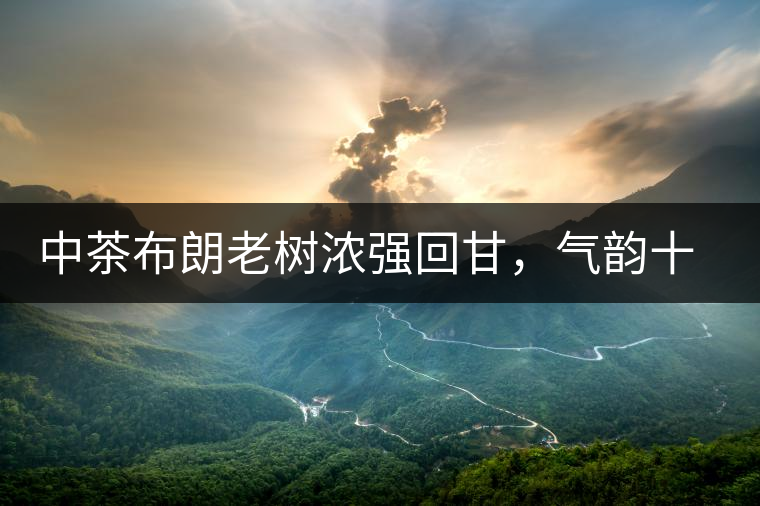 中茶布朗老樹(shù)濃強(qiáng)回甘，氣韻十足