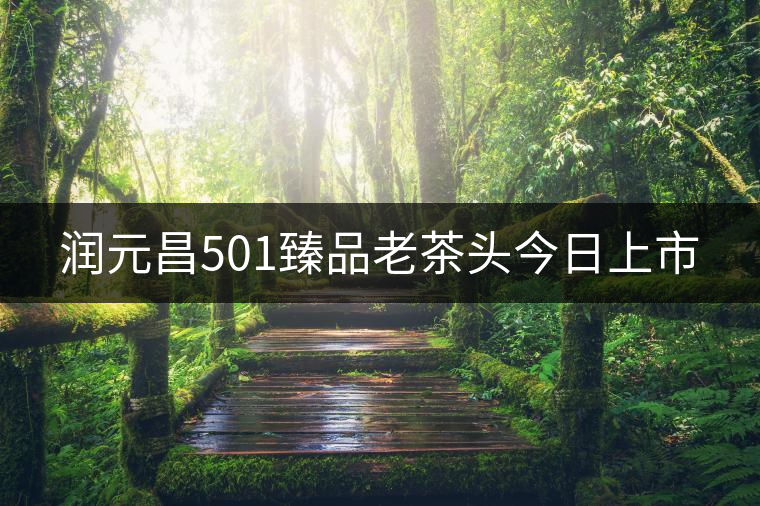 潤(rùn)元昌501臻品老茶頭今日上市 潤(rùn)元昌501臻品老茶頭今日上市